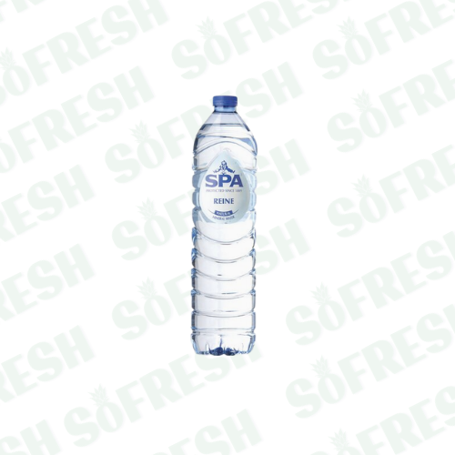 SPA REINE 1.5L