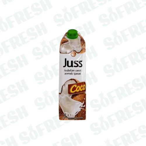 JUSS JUS DE NOIX DE COCO 1L