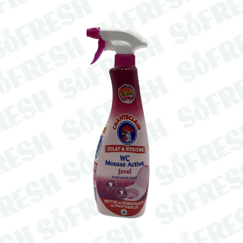 CHANTECLAIR WC MOUSSE ACTIVE JAVEL 625ML