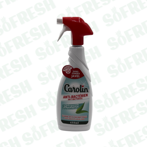 CAROLIN ANTI-BACTERIEN EUCALYPTUS 650ML